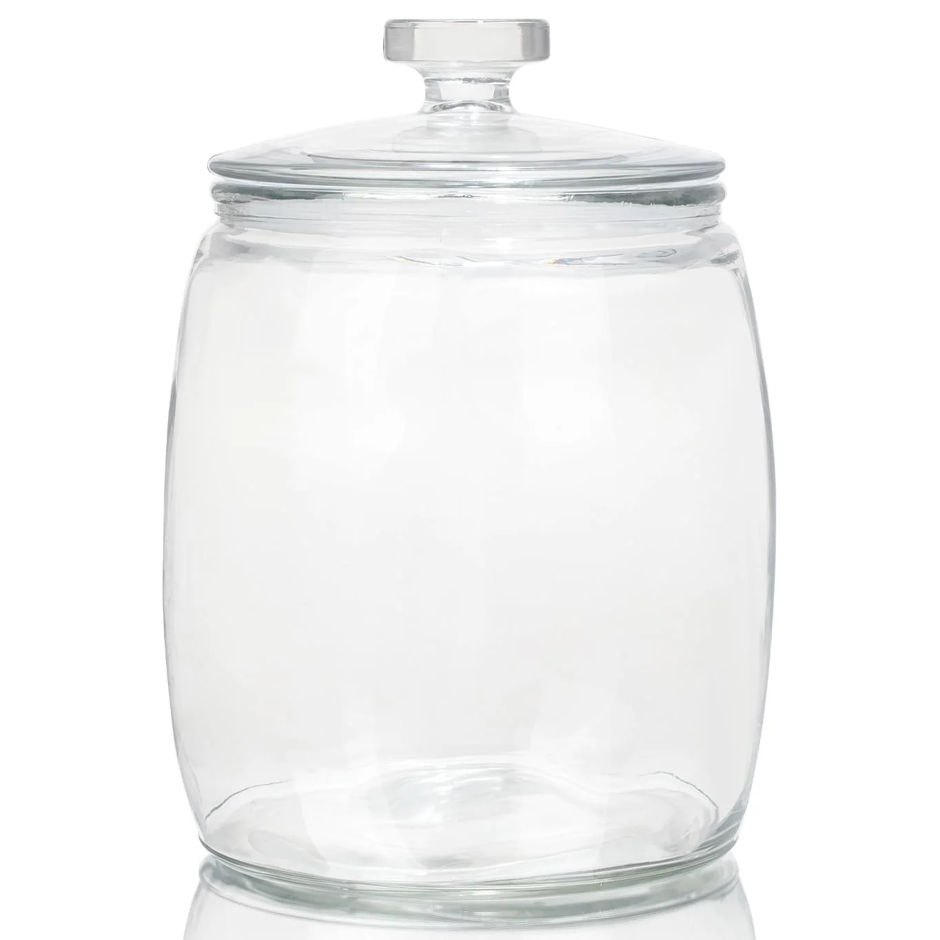 CATPOWER Wide-Mouth Glass Jars with Glass Lids, 2.5 Gallon